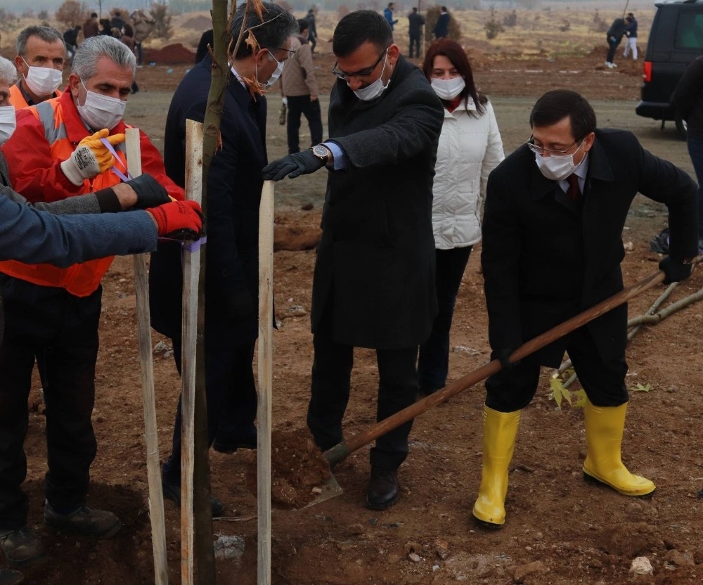 “Geleceğe Nefes Ol Kampanyası”nda ilk fidan dikildi