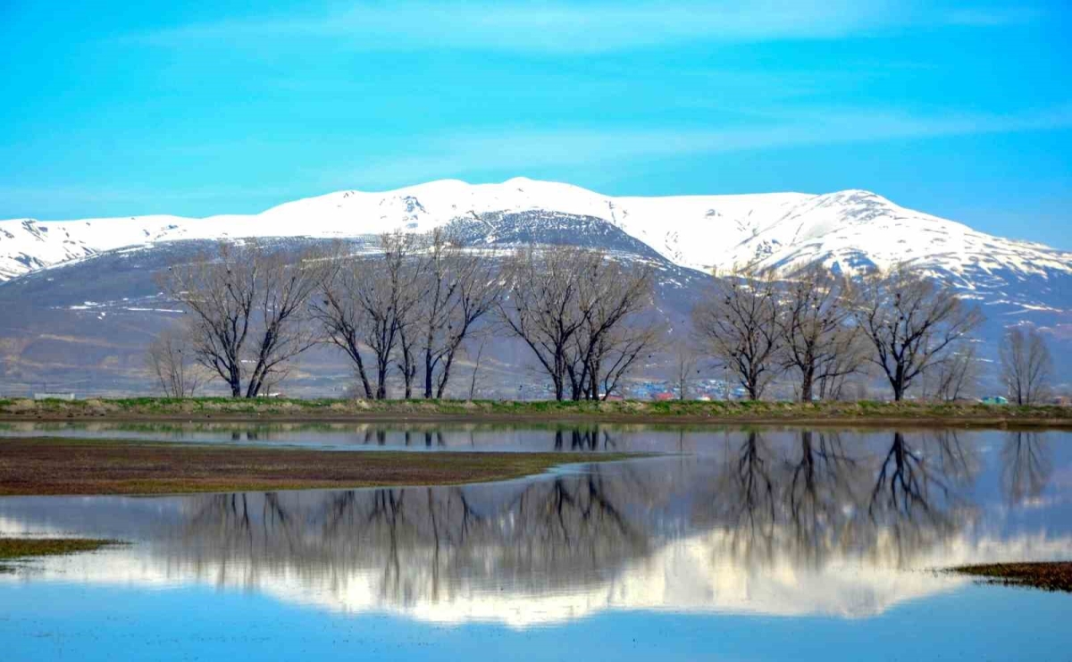 Çığ ve zirai don uyarısı
