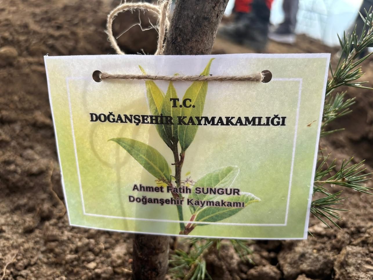 Doğanşehir’de ÖNEM Projesi Kapsamında Fidan Dikim Etkinliği Düzenlendi