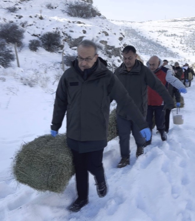 Vali Seddar Yavuz: Kış Şartlarında Zorlanan Yaban Hayvanları İçin Sahadayız