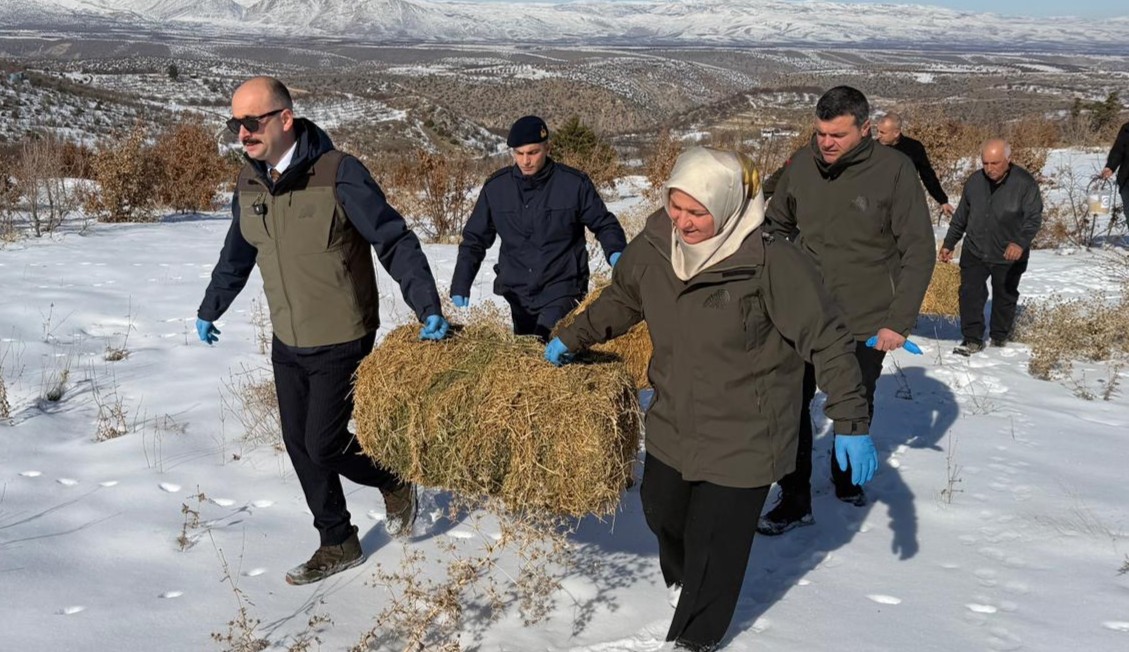 Doğanşehir'de Yaban Hayvanları İçin Doğaya Yem Bırakıldı