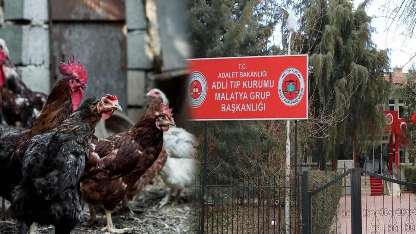 Komşuların Tavuk Kavgası Ölümle Bitti!