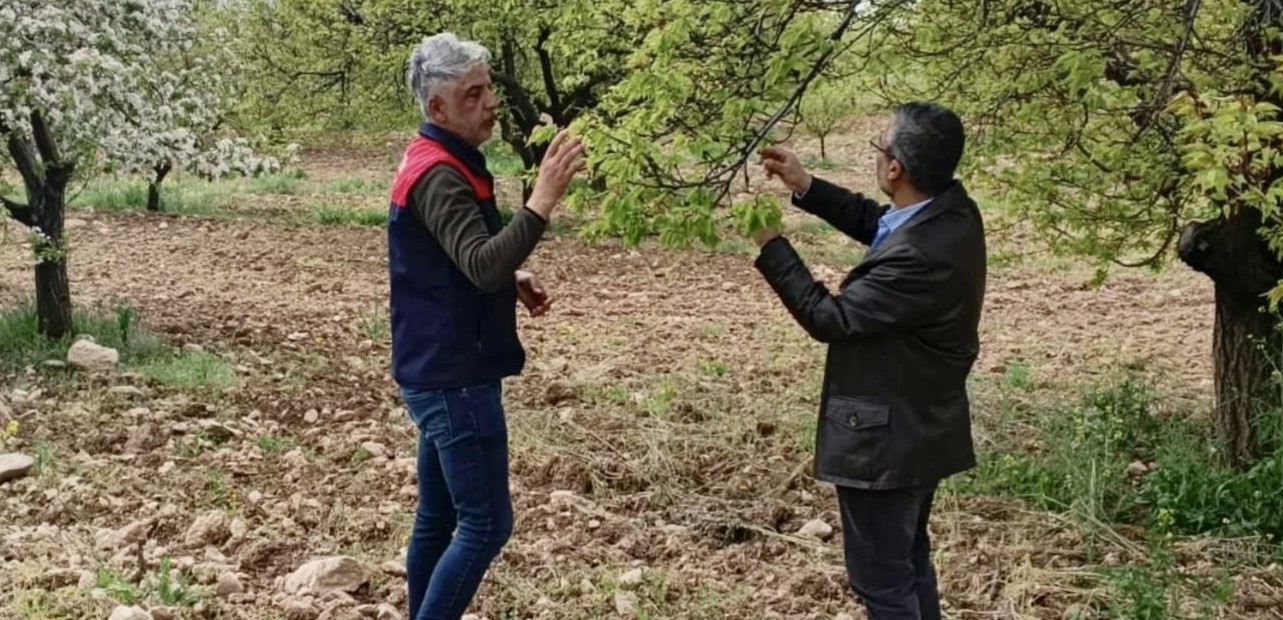 Dolu Sonrası Hasar Tespit Çalışmaları Başladı