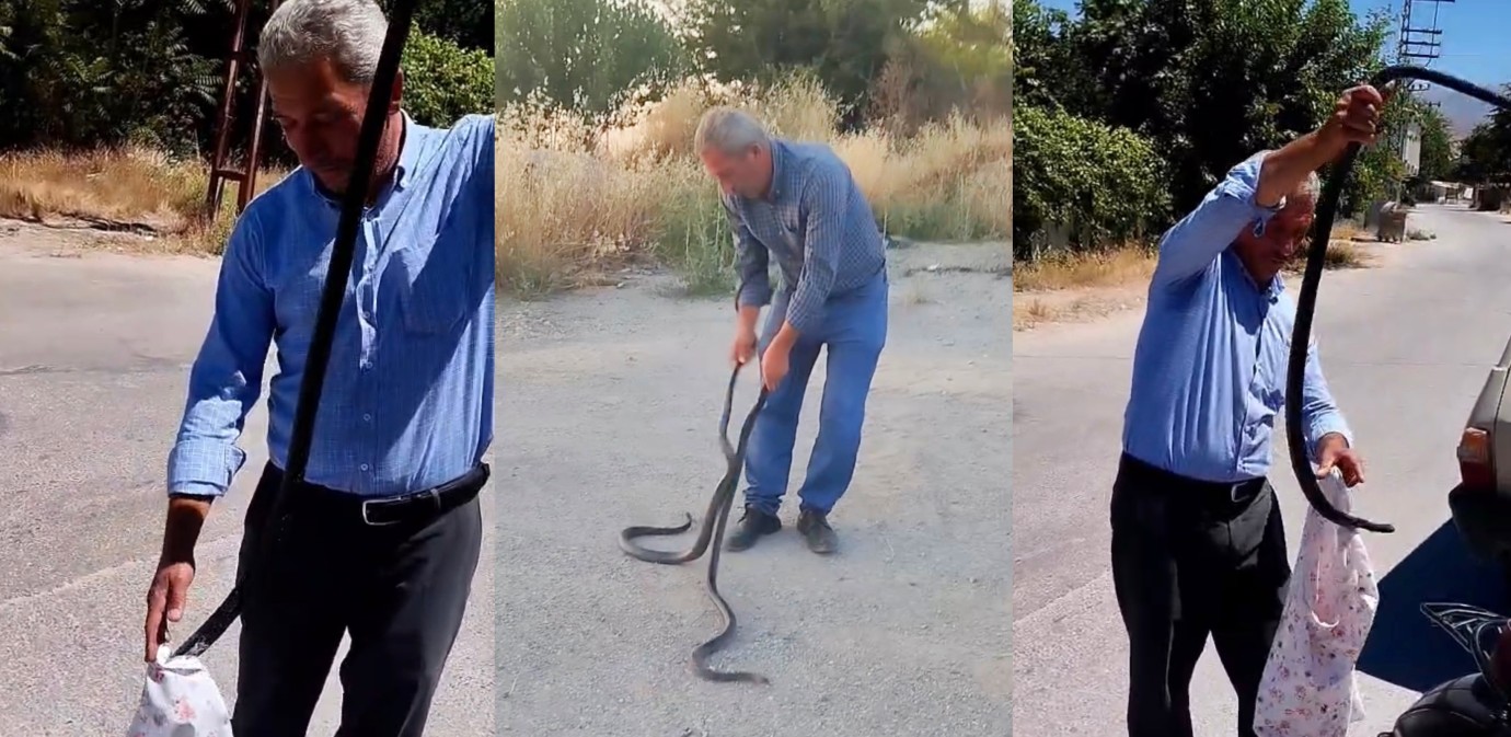 Malatya’nın “Yılan Savar” Muhtarı!