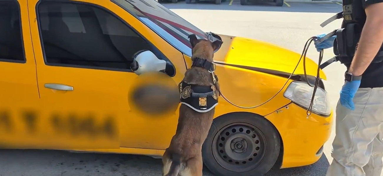 Rekor Uyuşturucu Operasyonu!