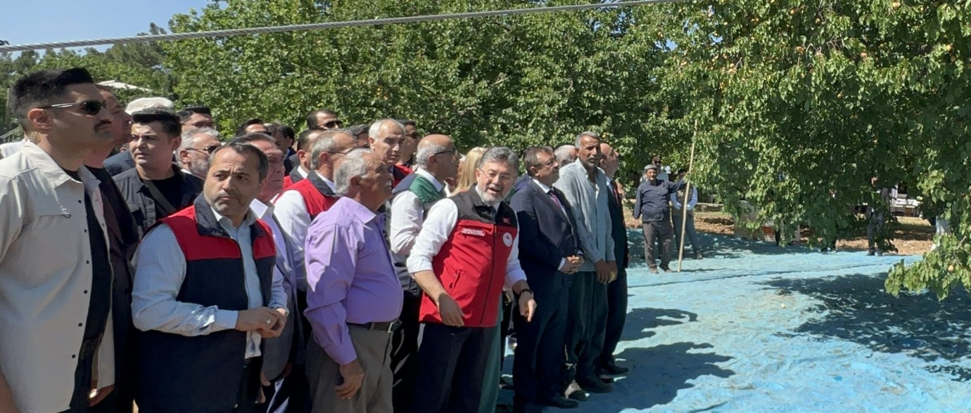 Bakan Yumaklı:, Bugün Dallar Meyveyle Doldu