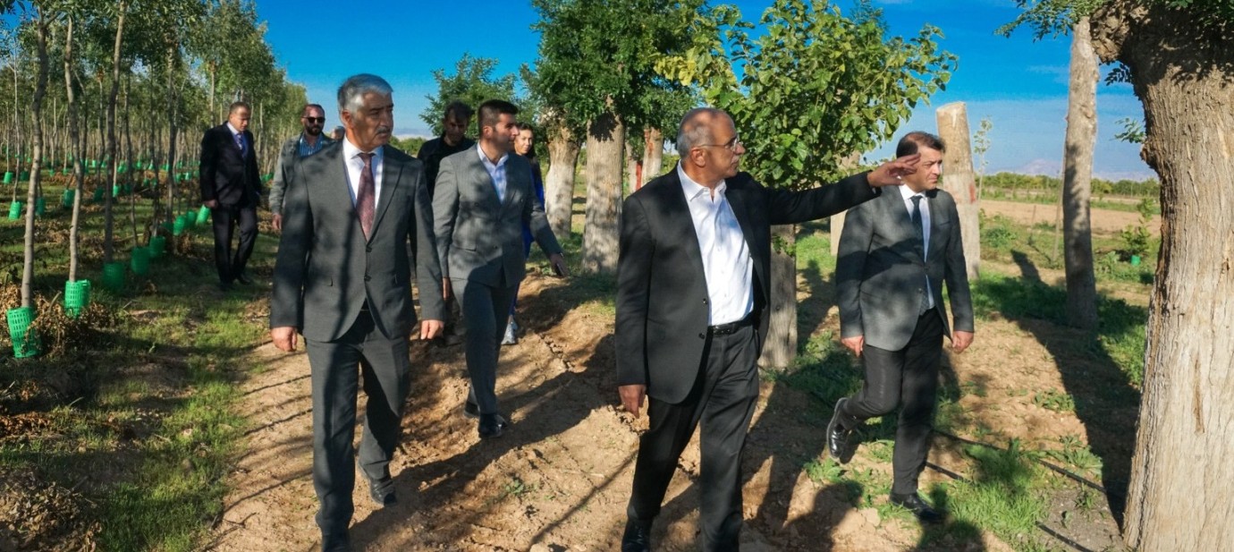 Büyükşehir’den Yıllık 20 Bin Fidan, 50 Bin Metrekare Rulo Çim Üretimi