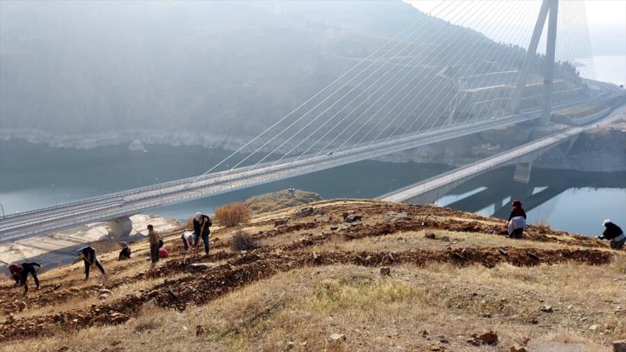KÖMÜRHAN KÖPRÜSÜ’NÜN ÇEVRESİ 55 BİN FİDANLA YEŞİLLENECEK