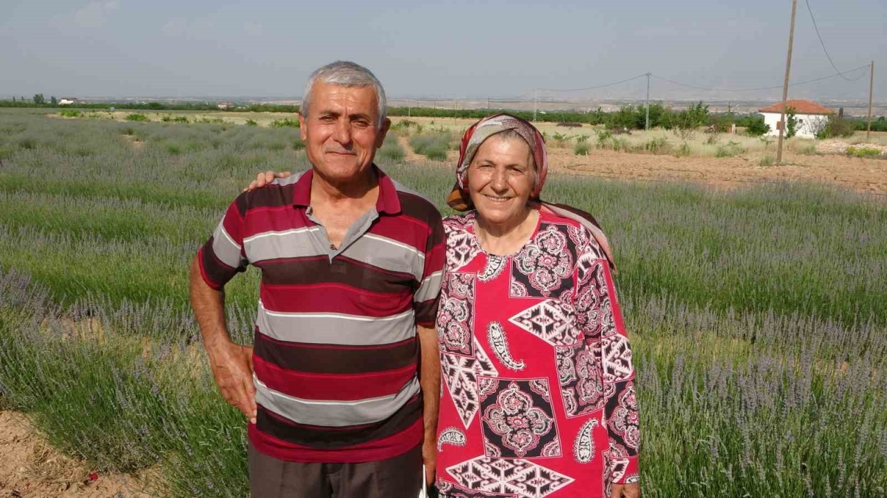 İnternetten gördüler, lavanta üreticisi oldular
