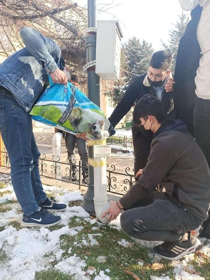 Sokak hayvanları unutulmadı