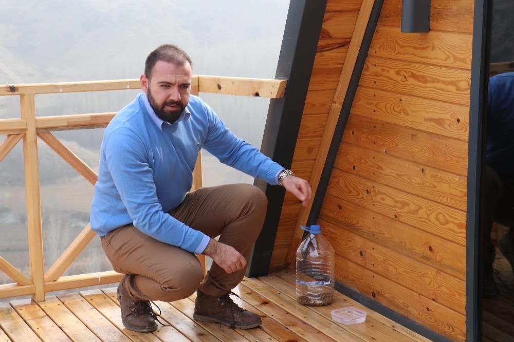Pandemi sürecinde sokak hayvanları için öneriler
