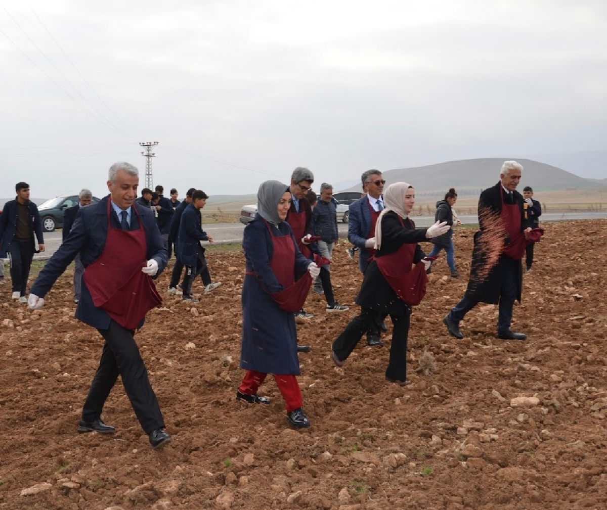 Malatya’da öğrenciler buğday ekimi yaptı